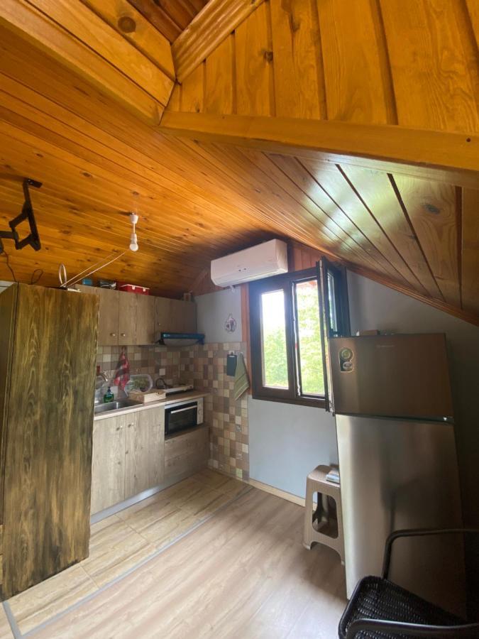 Villa Γαληνη 3 Litóchoron Esterno foto